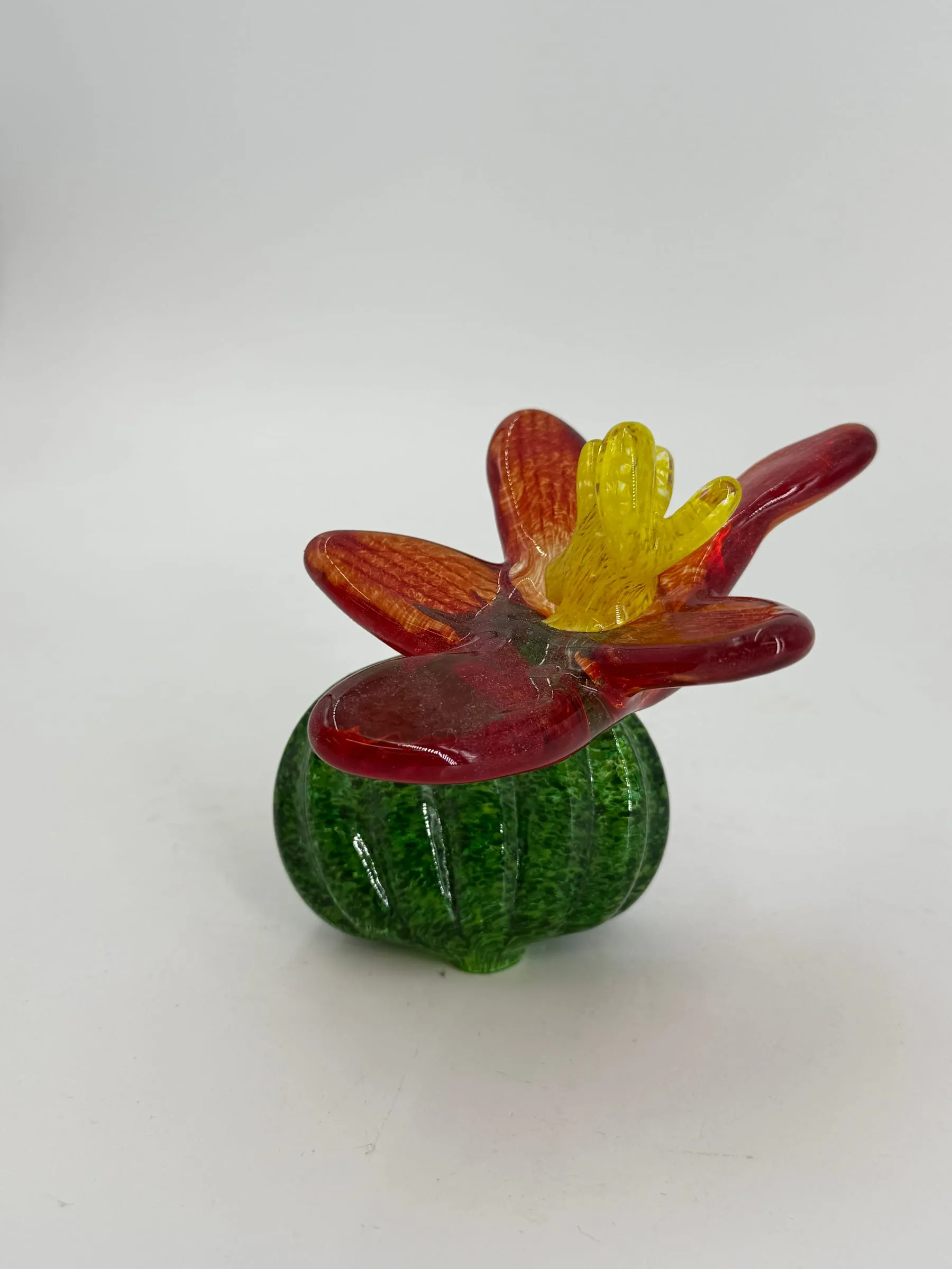 A flowering cactus